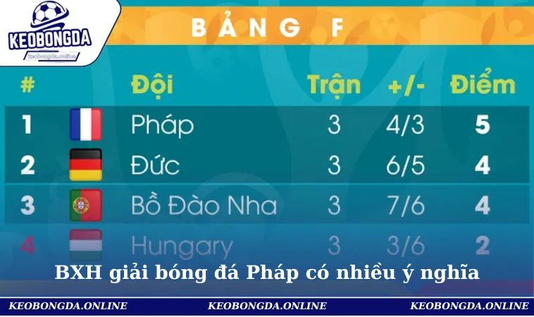 Bảng Xếp Hạng Bóng Đá Pháp Cập Nhật Nhanh Chóng Cho Hội Viên 2 BXH giải bóng đá Pháp có nhiều ý nghĩa