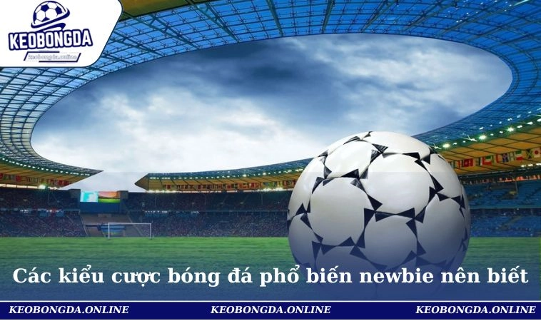 Tỷ Lệ Cá Cược Bóng Đá - Cách Đọc Chuẩn Cho Người Mới Bắt Đầu 3 Các kiểu cược bóng đá phổ biến newbie nên biết