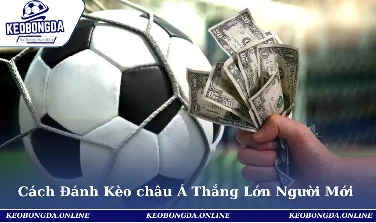 Cách Đánh Kèo châu Á Thắng Lớn Cho Người Chơi Mới