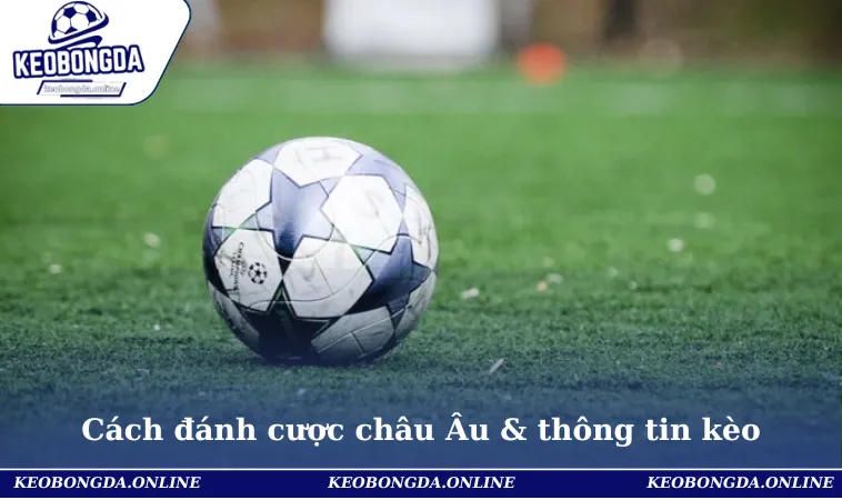 Cách Đánh Kèo Châu Âu Hiệu Quả Nhất Cho Người Mới Bắt Đầu 1 Cách đánh kèo châu Âu hiệu quả cùng thông tin về cược