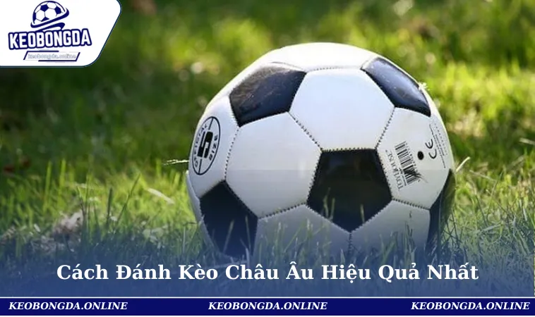 Cách Đánh Kèo Châu Âu Hiệu Quả Nhất Cho Người Mới Bắt Đầu