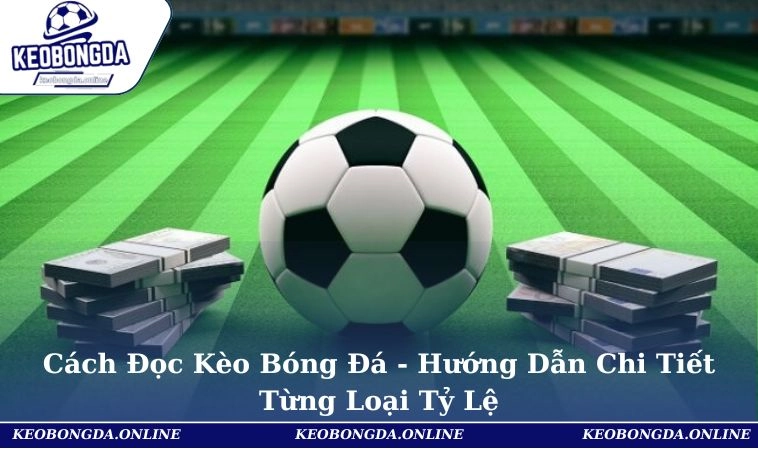 Cách Đọc Kèo Bóng Đá - Hướng Dẫn Chi Tiết Từng Loại Tỷ Lệ