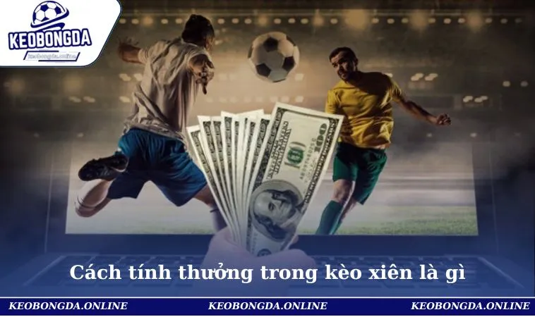 Kèo Xiên Là Gì - Cập Nhật Thông Tin Chính Xác Cho Bet Thủ 2 Cách tính thưởng trong kèo xiên là gì