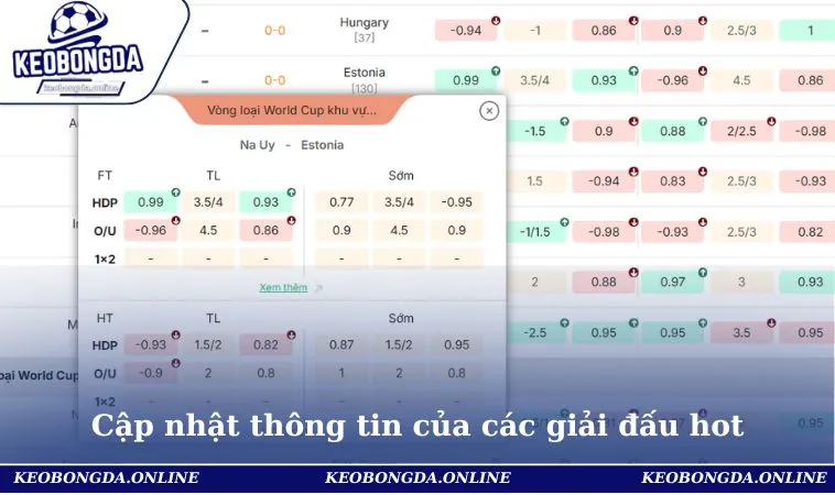 Livescore 3 Cập nhật thông tin của các giải đấu hot