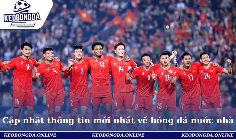 Tin Bóng Đá Việt Nam - Cập Nhật Mới Nhất Từ Sân Cỏ Tháng 11 2 Cập nhật thông tin mới nhất về bóng đá nước nhà