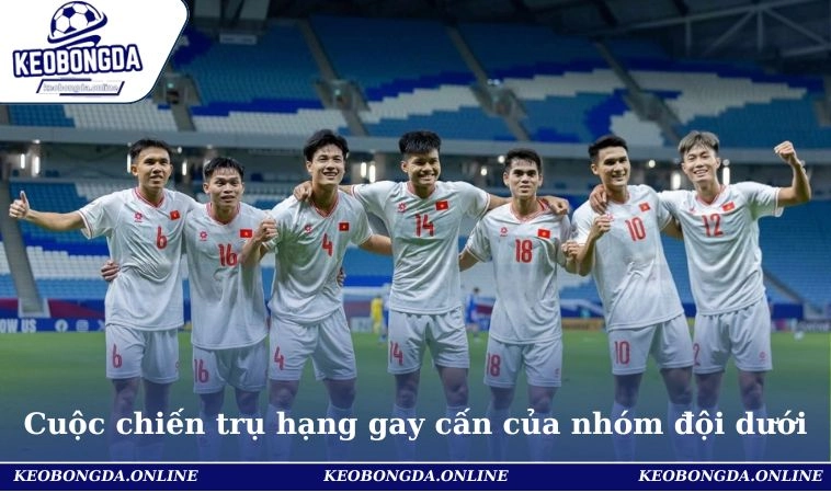 Bảng Xếp Hạng Bóng Đá V-League Việt Nam Vòng Mới 2025 3 Cuộc chiến trụ hạng gay cấn của nhóm đội dưới