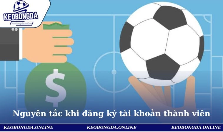 Điều Khoản Sử Dụng 1 Nguyên tắc khi thực hiện đăng ký tài khoản thành viên