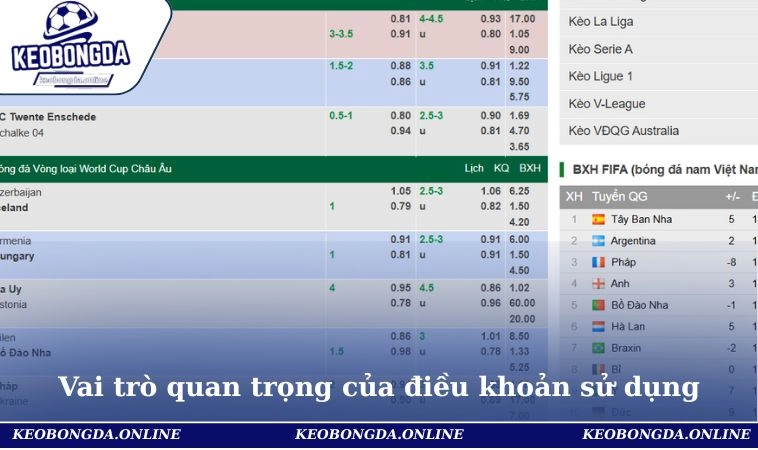 Điều Khoản Sử Dụng 3 Vai trò của điều khoản sử dụng đối với hội viên