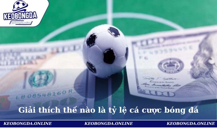 Tỷ Lệ Cá Cược Bóng Đá - Cách Đọc Chuẩn Cho Người Mới Bắt Đầu 1 Giải thích thế nào là tỷ lệ cá cược bóng đá