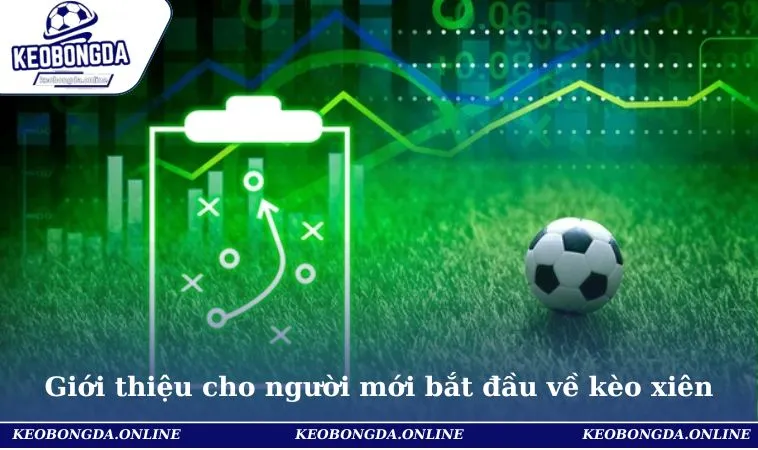 Kèo Xiên Là Gì - Cập Nhật Thông Tin Chính Xác Cho Bet Thủ 1 Giới thiệu cho người mới bắt đầu về kèo xiên