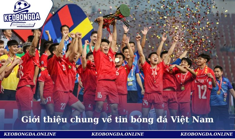 Tin Bóng Đá Việt Nam - Cập Nhật Mới Nhất Từ Sân Cỏ Tháng 11 1 Giới thiệu chung về tin bóng đá Việt Nam