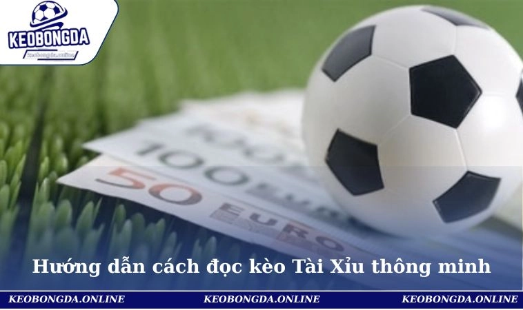 Cách Đọc Kèo Bóng Đá - Hướng Dẫn Chi Tiết Từng Loại Tỷ Lệ 3 Hướng dẫn cách đọc kèo Tài Xỉu thông minh