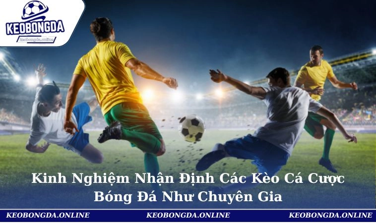Kinh Nghiệm Nhận Định Các Kèo Cá Cược Bóng Đá Như Chuyên Gia