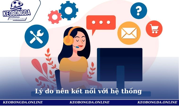 Liên Hệ 3 Lý do nên kết nối với hệ thống