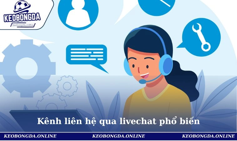 Liên Hệ 1 Kênh liên hệ qua livechat phổ biến