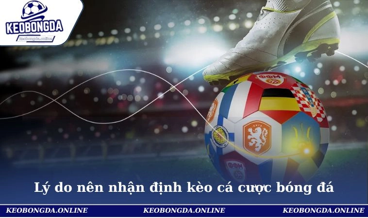 Kinh Nghiệm Nhận Định Các Kèo Cá Cược Bóng Đá Như Chuyên Gia 1 Lý do nên nhận định kèo cá cược bóng đá