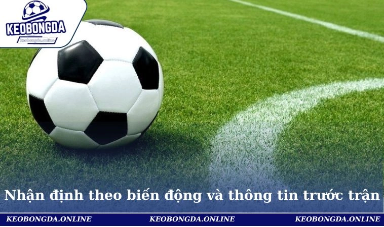 Kinh Nghiệm Nhận Định Các Kèo Cá Cược Bóng Đá Như Chuyên Gia 3 Mẹo nhận định kèo theo biến động và thông tin trước trận