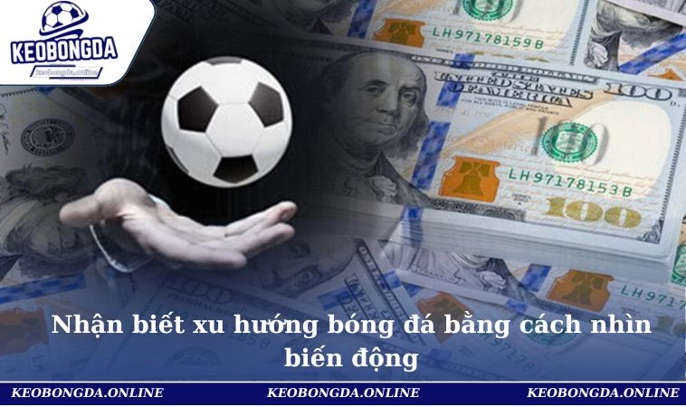 Bí Quyết Cá Cược Bóng Đá Năm 2025 Từ Cơ Bản Đến Nâng Cao 2 Nhận biết xu hướng bóng đá bằng cách nhìn biến động