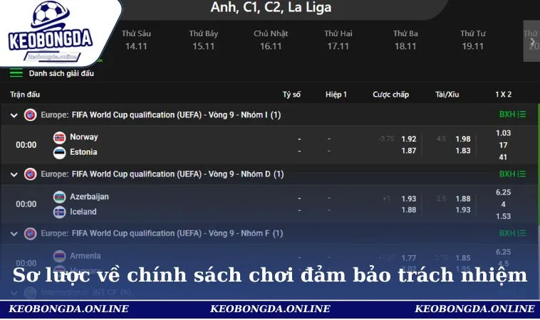 Chơi Có Trách Nhiệm 1 Sơ lược về chính sách chơi đảm bảo trách nhiệm