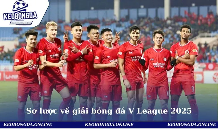 Lịch Bóng Đá V League 2025 Cập Nhật Mới Nhất Cho Hội Viên 1 Sơ lược về giải bóng đá V League 2025