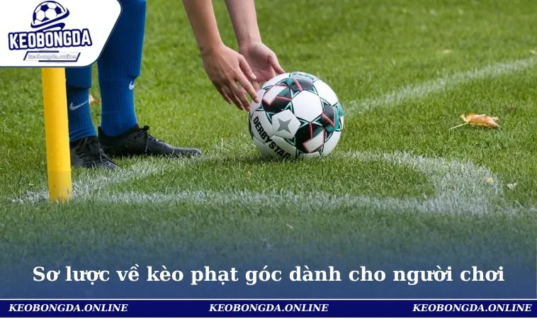 Kèo Phạt Góc Là Gì? Hướng Dẫn Chiến Thuật Cược Chuẩn Nhất 1 Sơ lược về kèo phạt góc dành cho người chơi