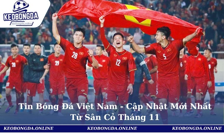Tin Bóng Đá Việt Nam - Cập Nhật Mới Nhất Từ Sân Cỏ Tháng 11