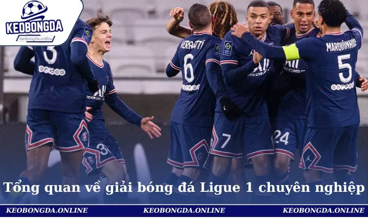 Bảng Xếp Hạng Bóng Đá Pháp Cập Nhật Nhanh Chóng Cho Hội Viên 1 Tổng quan về giải bóng đá Ligue 1 chuyên nghiệp