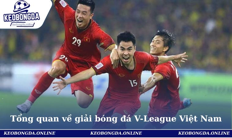 Bảng Xếp Hạng Bóng Đá V-League Việt Nam Vòng Mới 2025 1 Tổng quan về giải đấu bóng đá V-League Việt Nam