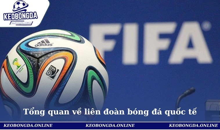 Liên Đoàn Bóng Đá Quốc Tế Và Tầm Ảnh Hưởng Toàn Cầu 1 Khái quát chung về liên đoàn bóng đá quốc tế