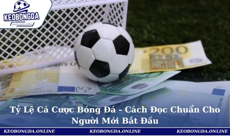 Tỷ Lệ Cá Cược Bóng Đá - Cách Đọc Chuẩn Cho Người Mới Bắt Đầu